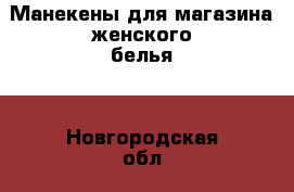 Манекены для магазина женского белья  - Новгородская обл., Великий Новгород г. Бизнес » Оборудование   . Новгородская обл.,Великий Новгород г.